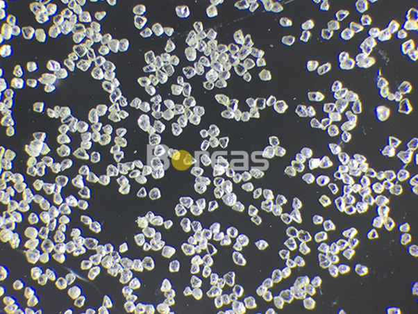 PCD復合片專用金剛石微粉